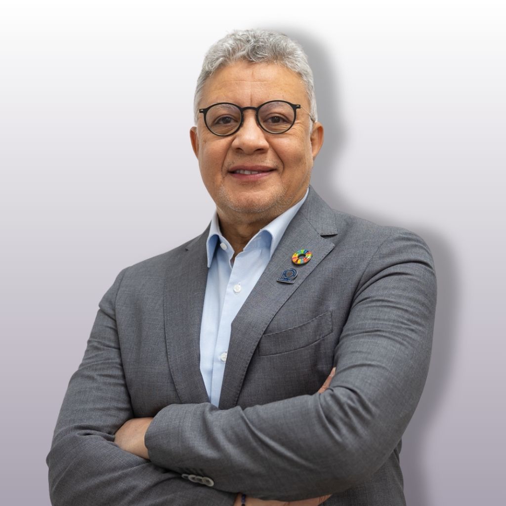 Mr. Ayman Ismail